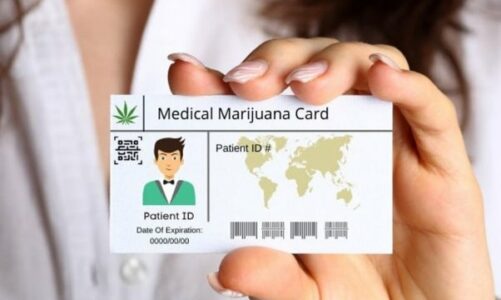 What is a Medical Marijuana Card?